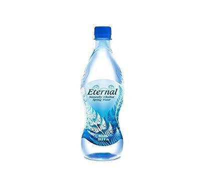 Eternal Naturally Artesian Water – Alkaline Water 500ml